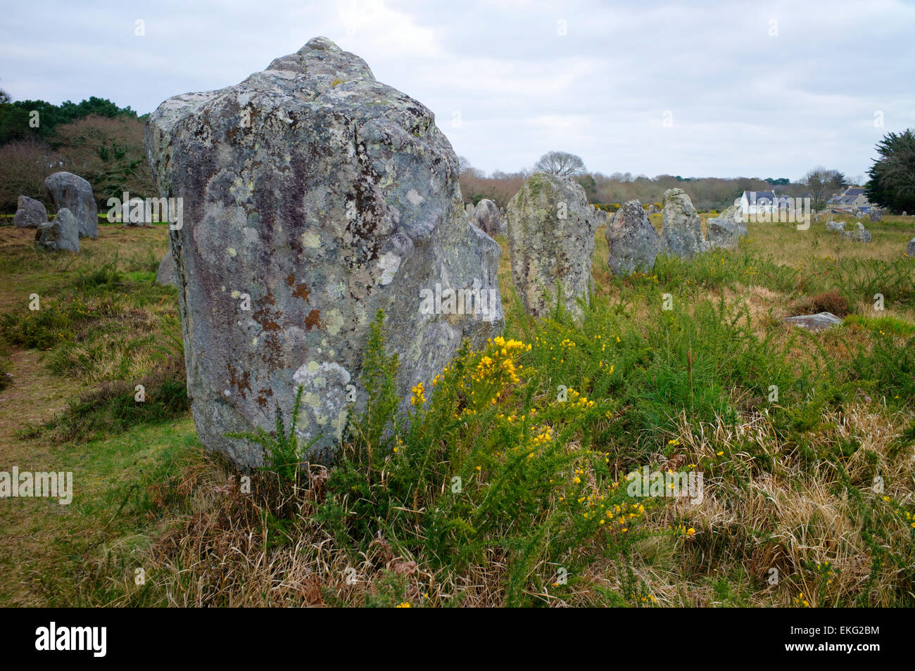 Pietre megalitiche in allineamento Menec a Carnac, Brittany, Francia Foto Stock