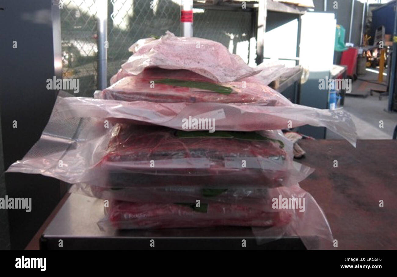Gli agenti del CBP al porto di entrata di San Ysidro sequestrarono 40 libbre di cocaina e 10 libbre di eroina del valore di oltre mezzo milione di dollari. La droga era nascosta in un vano veicoli. Foto Stock