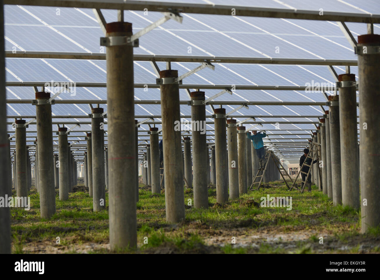 Jiaxing, Cina. Decimo Apr, 2015. Trainare i lavoratori lavorano a energia solare generando un impianto che sarà usato anche per essere la piscicoltura sotto in Jiaxing, provincia di Hubei in Cina il 10 Aprile 2015.La Cina ha sollevato la sua solare per target 2015, promettendo di aggiungere quasi 2 1/2 volte come quantità di capacità come aggiunto negli Stati Uniti lo scorso anno, come le gare di cancellare il suo sempre più inquinati d'aria.più grandi del mondo di emettitore di carbonio mira ad installare quanto 17,8 gigawatt di solare progetti nel 2015, il National Energy Administration detto in marzo. Credito: Panda occhio/Alamy Live News Foto Stock