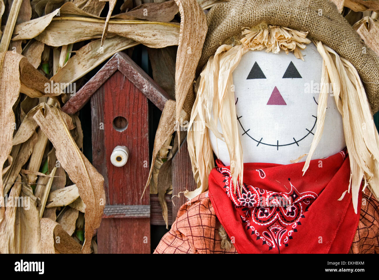 Carino spaventapasseri con legno birdhouse nelle bucce di mais per la decorazione d'autunno. Foto Stock