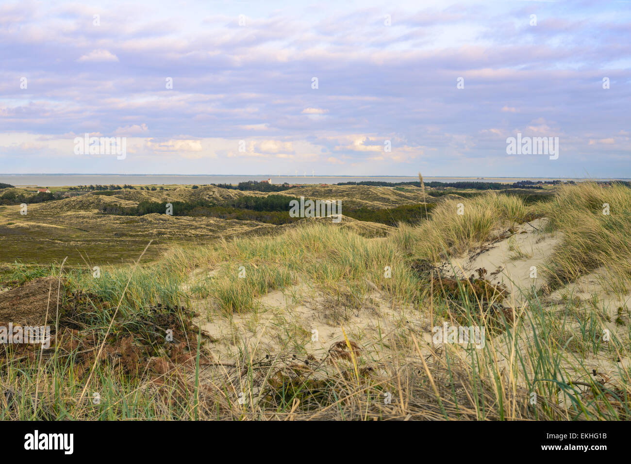 Dannish paesaggio a frazioni di Hvide Sande. Resort cottages Foto Stock