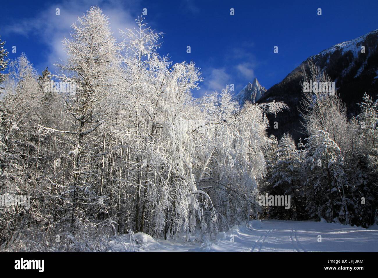 Paesaggio invernale, Les Drus, Chamonix, alpi, Francia Foto Stock