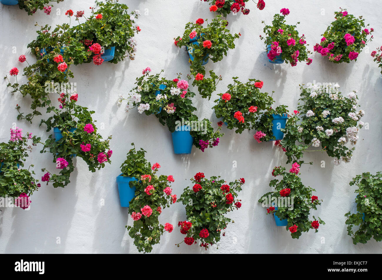 Vaso di fiori Wall Display a Marbella Foto Stock