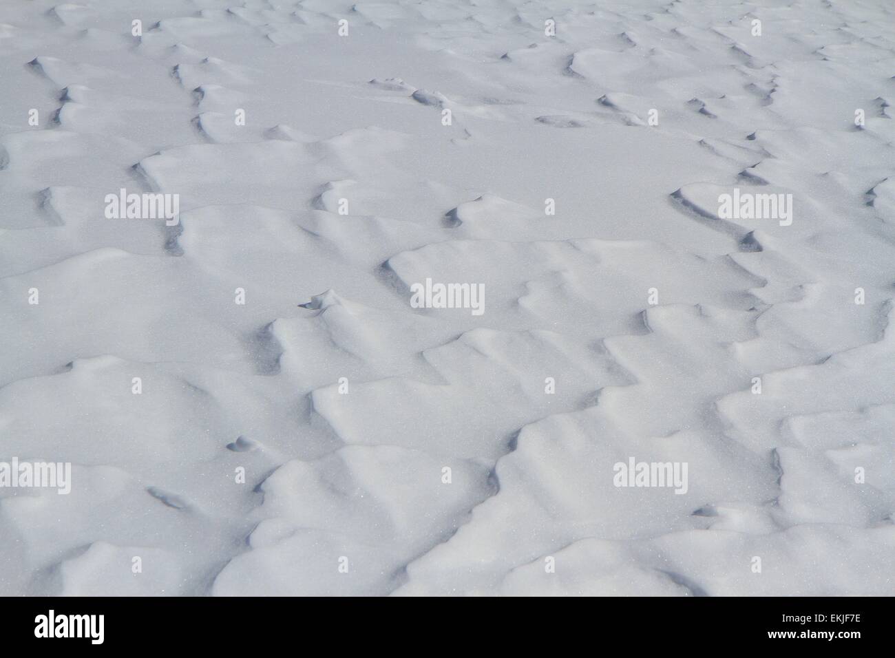 La neve vista da vicino, Saas fee, Alpi della Svizzera Foto Stock