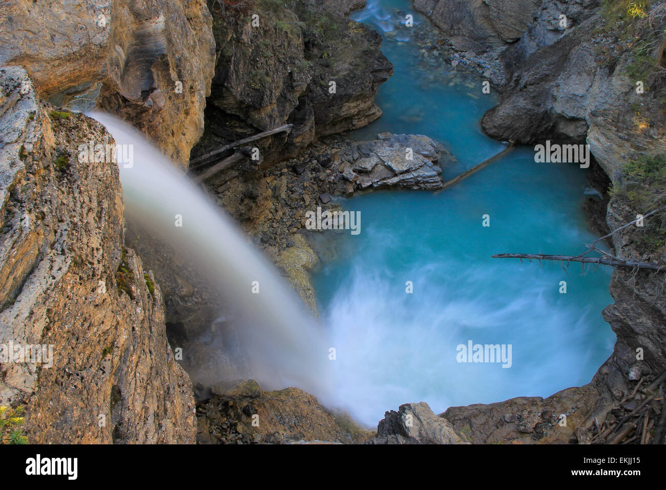 Stanley cade nella bellezza creek canyon, il parco nazionale di Jasper, Alberta, Canada Foto Stock