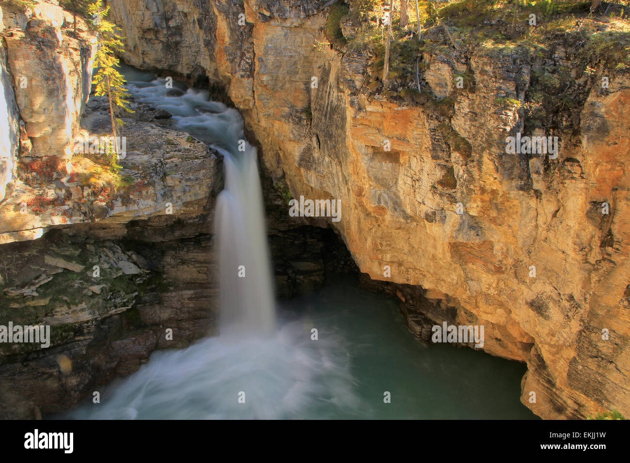 Watefall in bellezza Creek Canyon, il parco nazionale di Jasper, Alberta, Canada Foto Stock