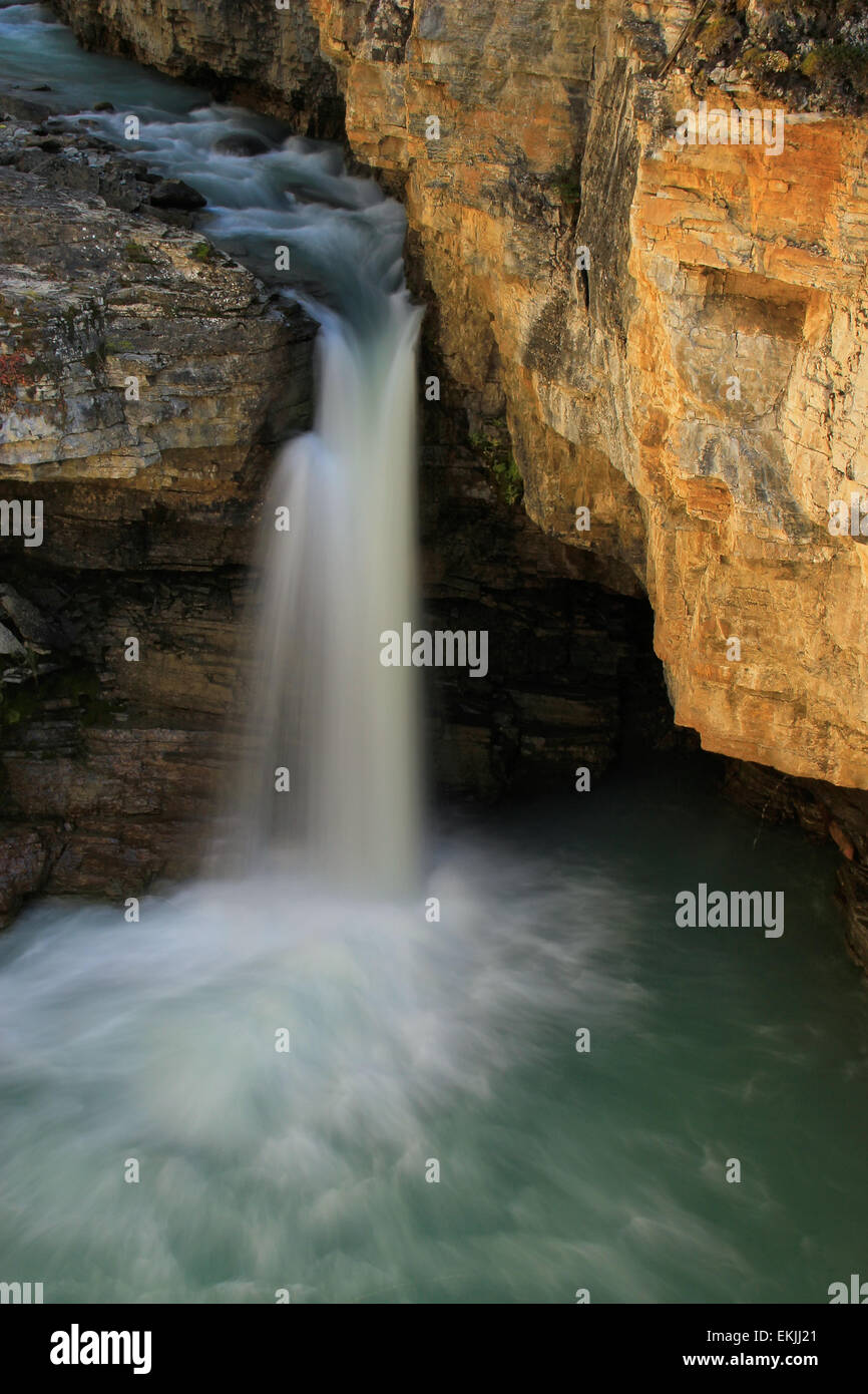 Watefall in bellezza Creek Canyon, il parco nazionale di Jasper, Alberta, Canada Foto Stock