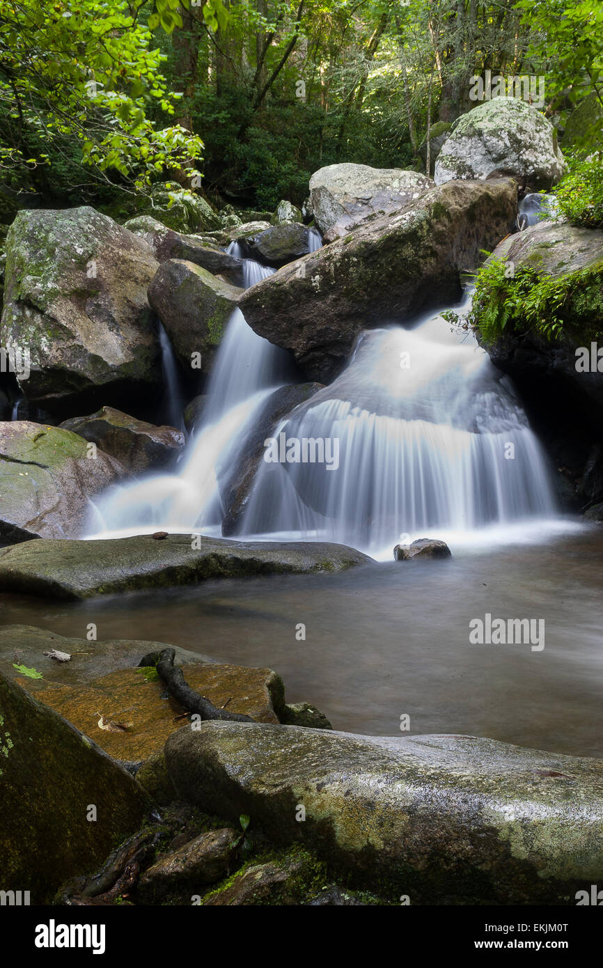 Una piccola cascata che scorre lungo una trota torrente a sud delle montagne del nord Carolina. Foto Stock