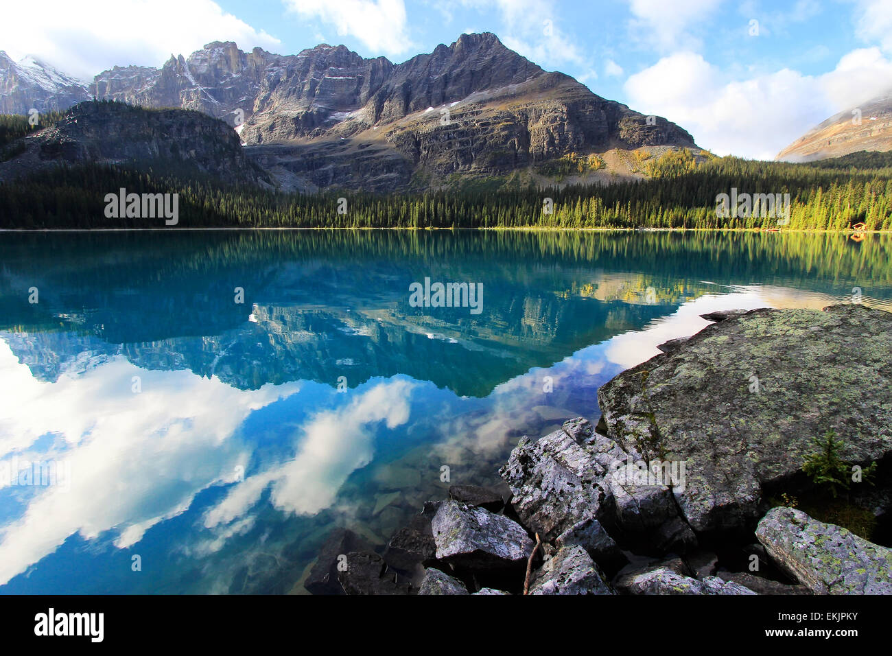 Il lago di O'Hara, Parco Nazionale di Yoho, British Columbia, Canada Foto Stock