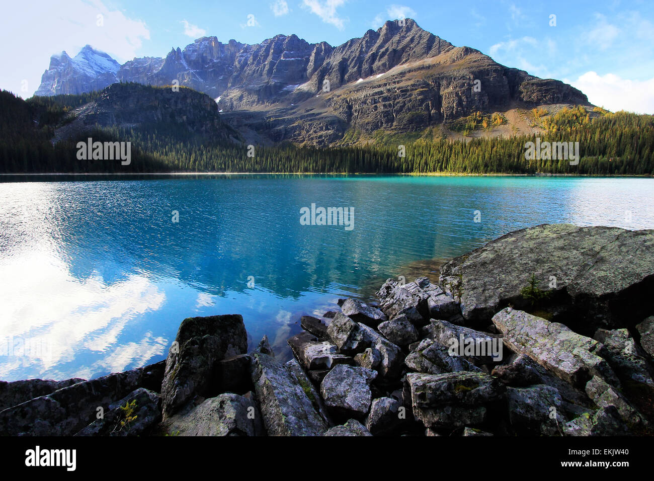 Il lago di O'Hara, Parco Nazionale di Yoho, British Columbia, Canada Foto Stock