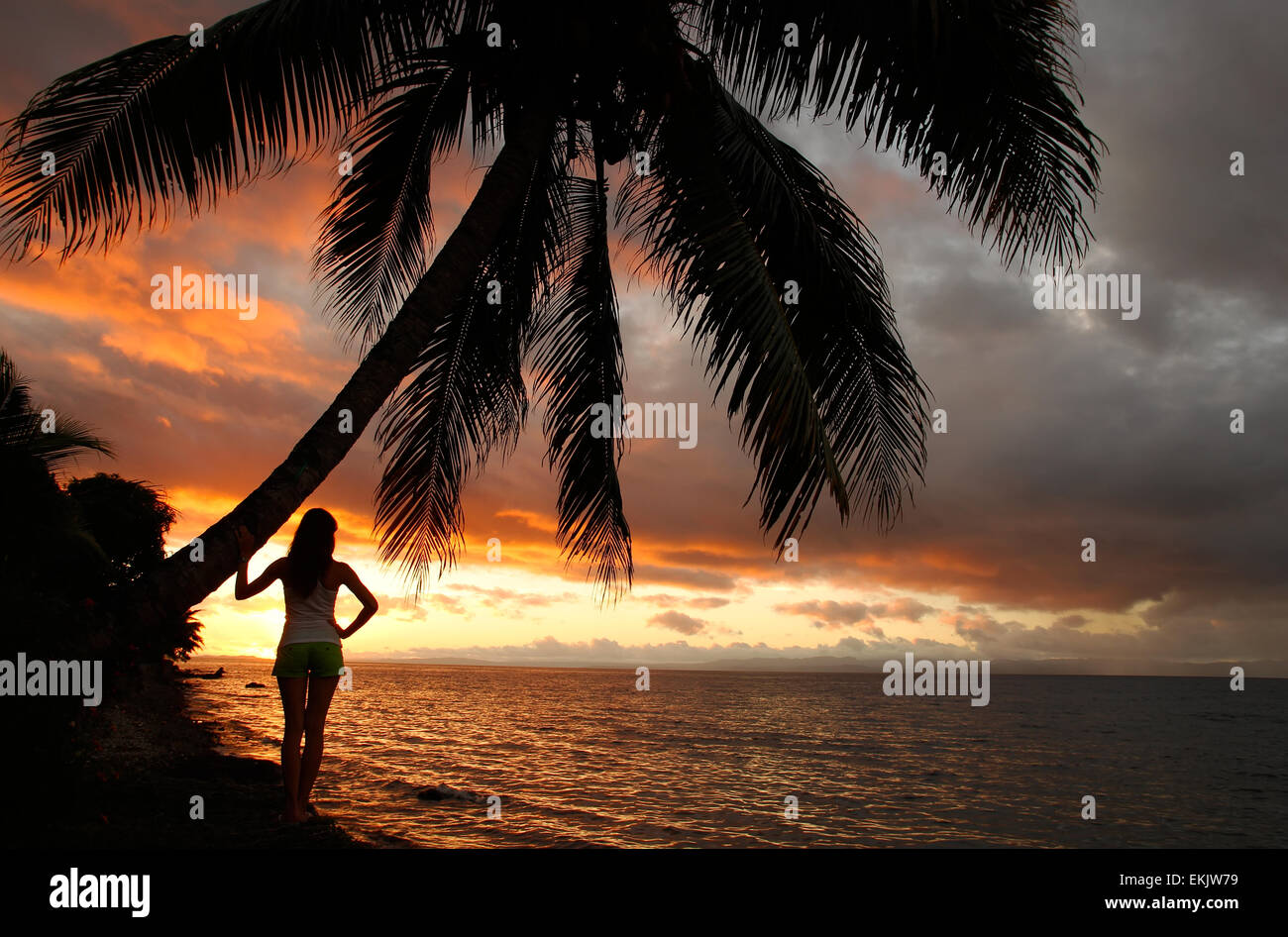 Stagliano giovane donna di palma su una spiaggia, Vanua Levu isola, Figi e Sud Pacifico Foto Stock