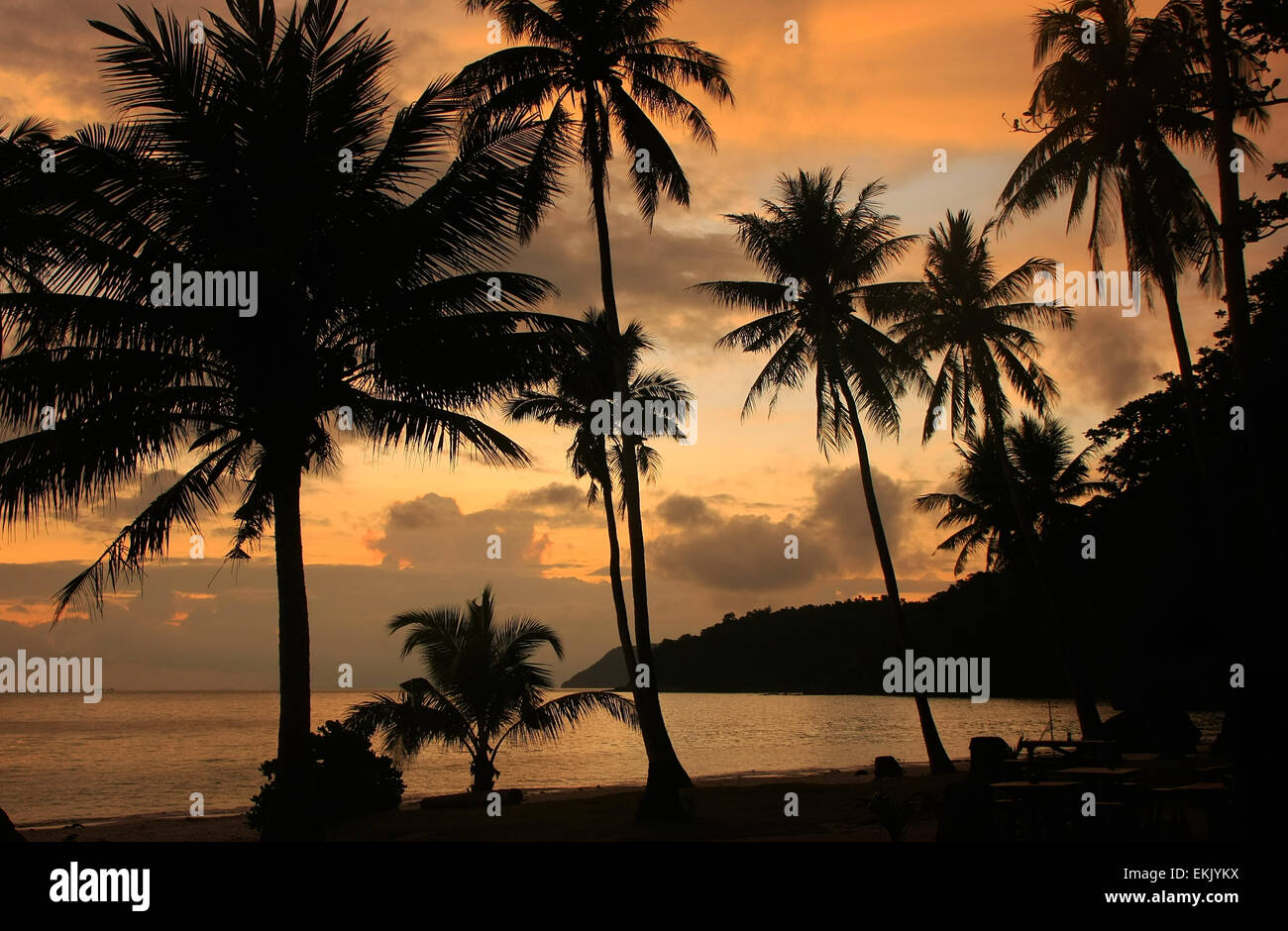 Spiaggia tropicale con palme di Sunrise, Wua Talab isola, Ang Thong National Marine Park, Thailandia Foto Stock
