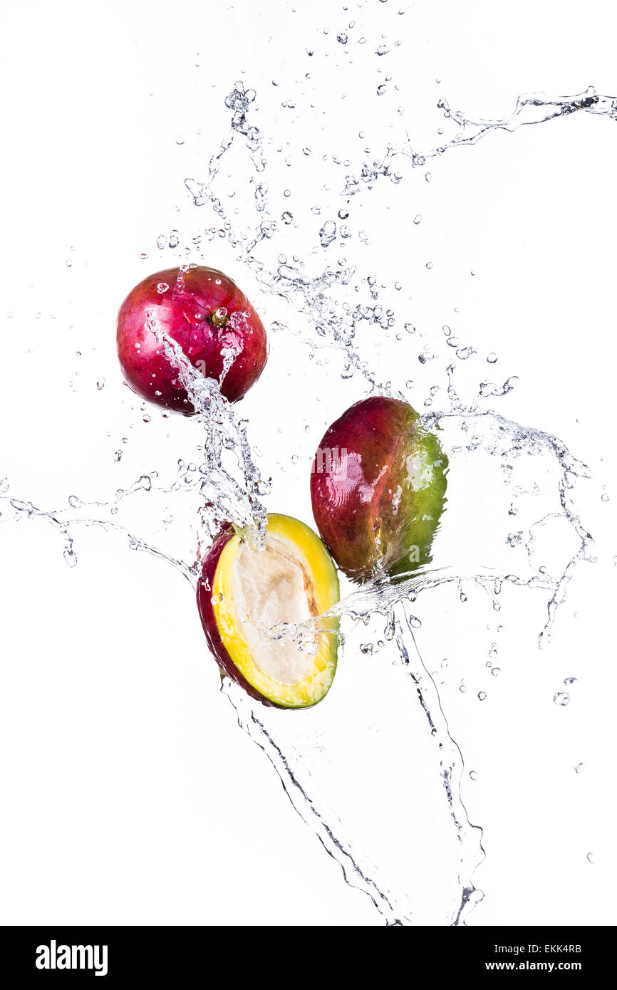 Mango con acqua splash isolato su bianco Foto Stock