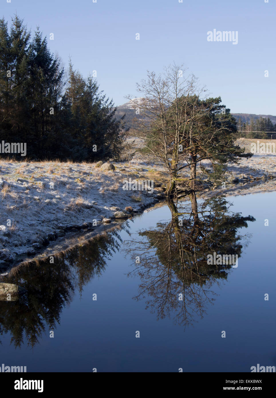 Paesaggio idilliaco in Ryfylke, fiordi oriente di Stavanger, Norvegia, primavera, neve, soleggiato e un mirror lake Foto Stock