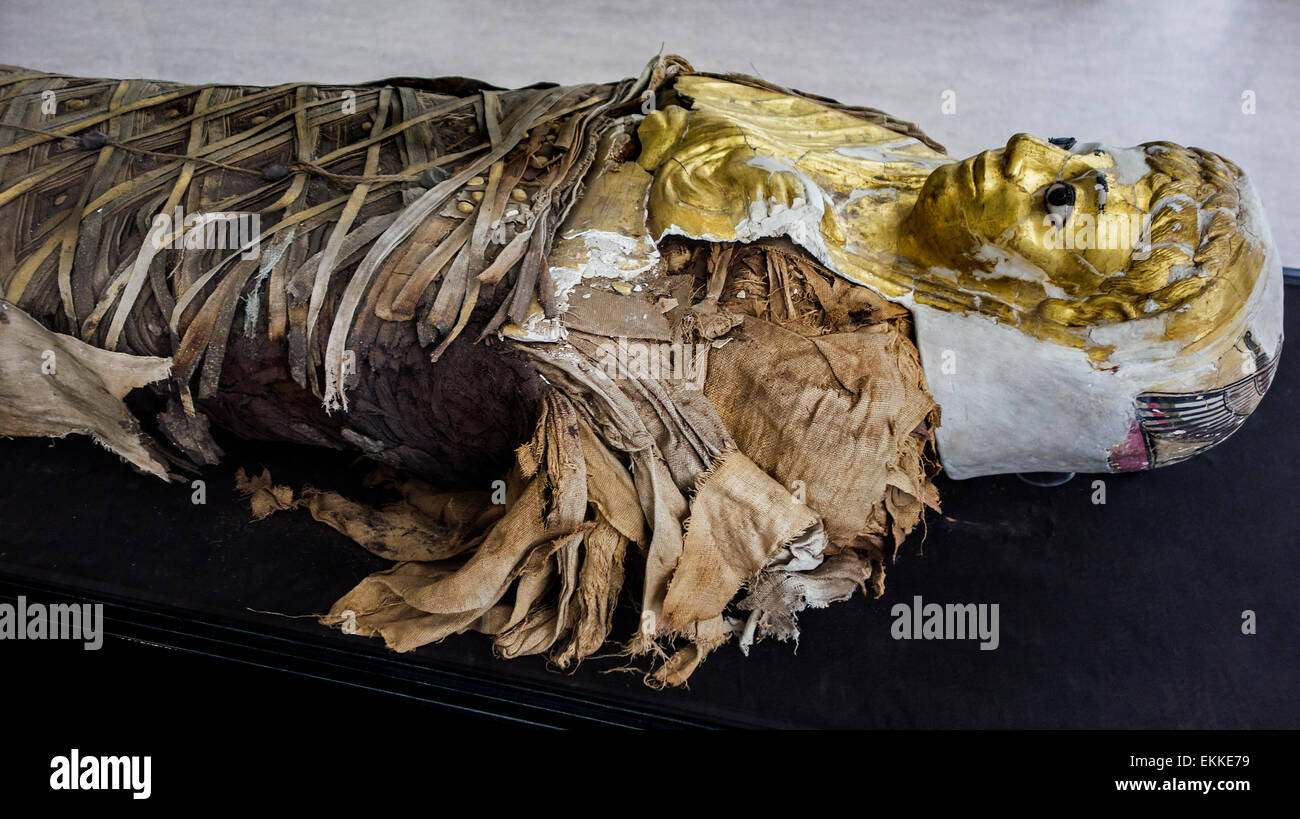 Chiusura del Fayum / Faiyum mummia e parte del dipinto cartonnage mummia caso con maschera ritratto dal periodo copta in Egitto Foto Stock