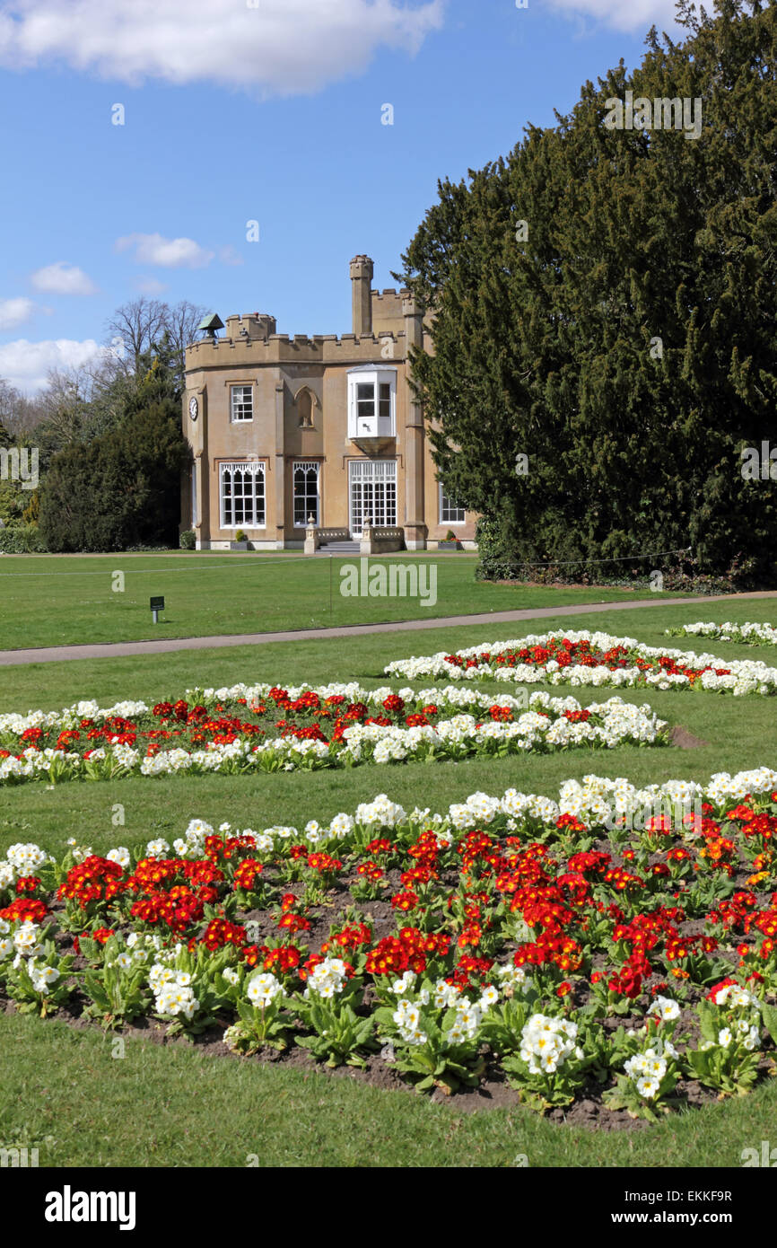 Nonsuch Park, Cheam Surrey, Inghilterra, Regno Unito. 11 aprile 2015. Un display a colori del rosso e del bianco primulas sulla bella giornata di primavera con il blu del cielo e le soffici nuvole sopra Nonsuch Mansion a Cheam nel Surrey. Foto Stock