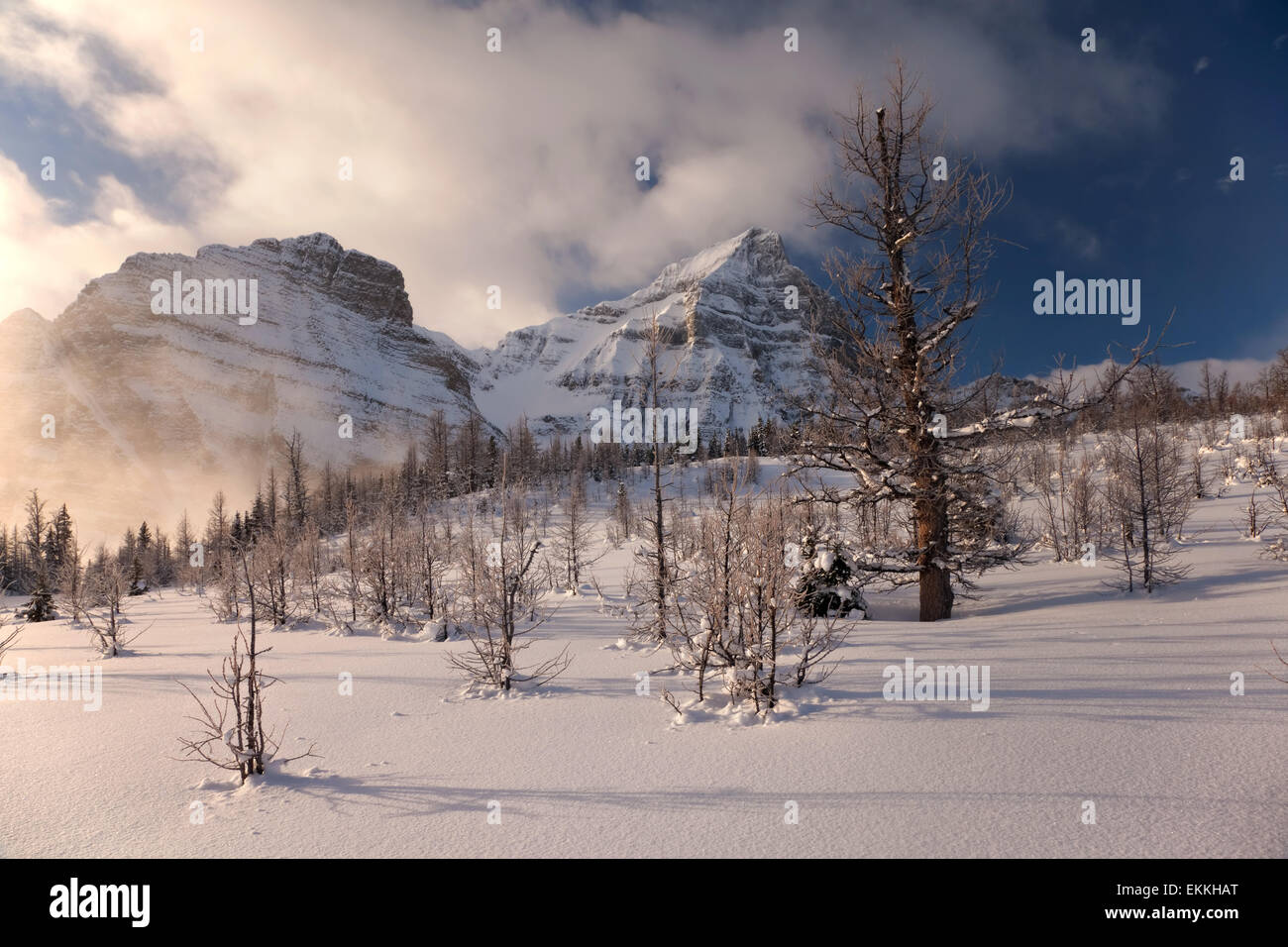 Paesaggio invernale in Banff Naitonal park. Lo stato di Alberta. In Canada. Foto Stock