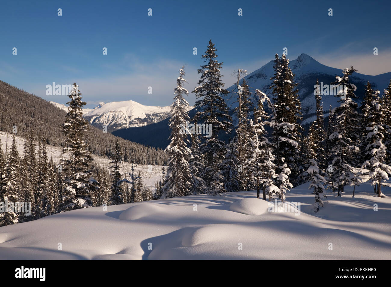 Paesaggio invernale in Banff Naitonal park. Lo stato di Alberta. In Canada. Foto Stock