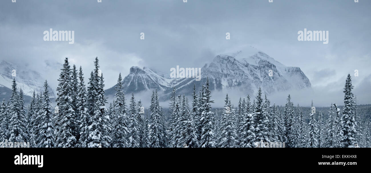 Paesaggio invernale in Banff Naitonal park. Lo stato di Alberta. In Canada. Foto Stock