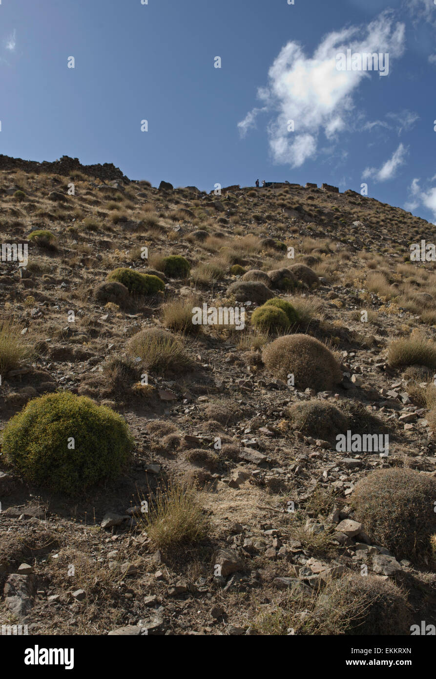 Taglio attraverso il più alto raggiunge dei monti Atlante, il Tichka offrono vedute dell'entroterra marocchino. Anche noto Foto Stock