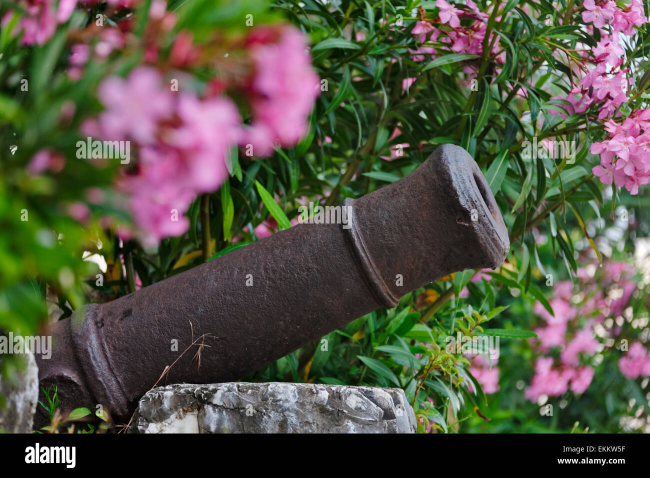 Il cannone nel castello di Berat (Patrimonio Mondiale dell'UNESCO), l'Albania Foto Stock