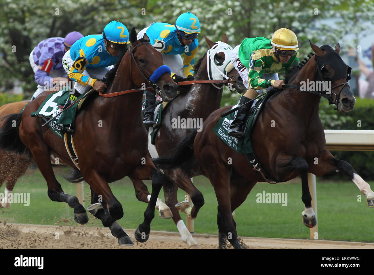 Hot Springs, Arkansas, Stati Uniti d'America. Xi Apr, 2015. A partire campo proveniente all'apertura tratto in Arkansas Derby a Oaklawn Park in Hot Springs, AR. Justin Manning/ESW/CSM/Alamy Live News Foto Stock