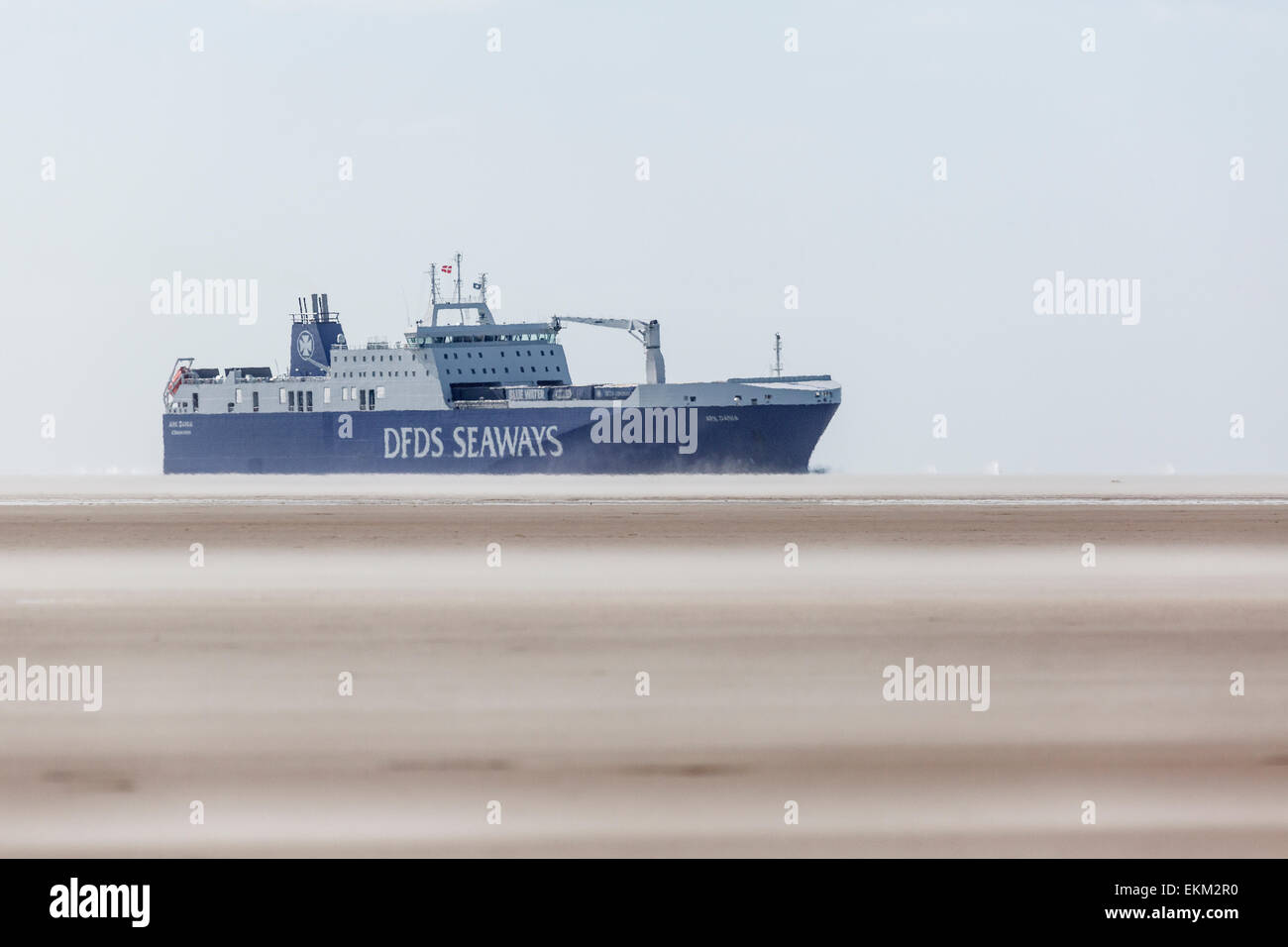 La DFDS ro/ro-nave arca Dania fuori dell'isola di Fanø. Foto Stock