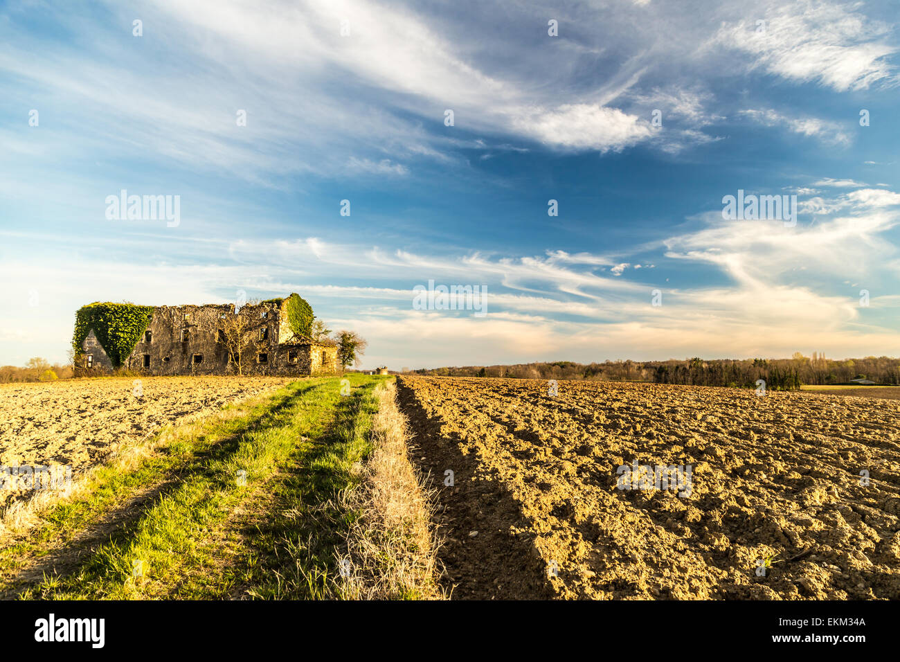 Un abbandonato e rovinato farm nei campi dell'Italia Foto Stock
