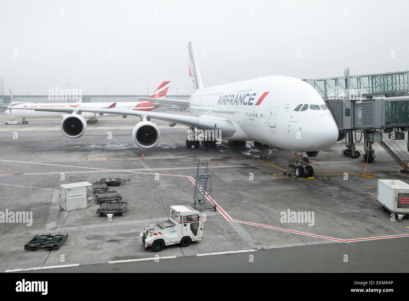 Air France piano su asfalto in una nebbiosa Paris Charles de Gaulle Airport Foto Stock