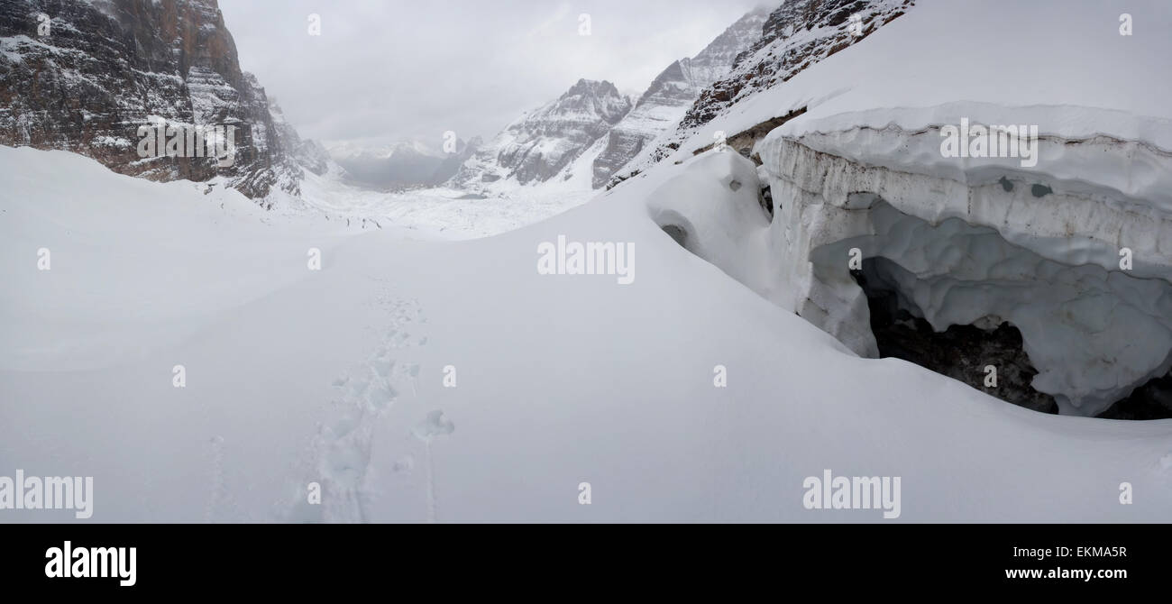 Opabin ghiacciaio. Le tracce sulla neve. Parco Nazionale di Yoho. British Columbia. In Canada. Foto Stock