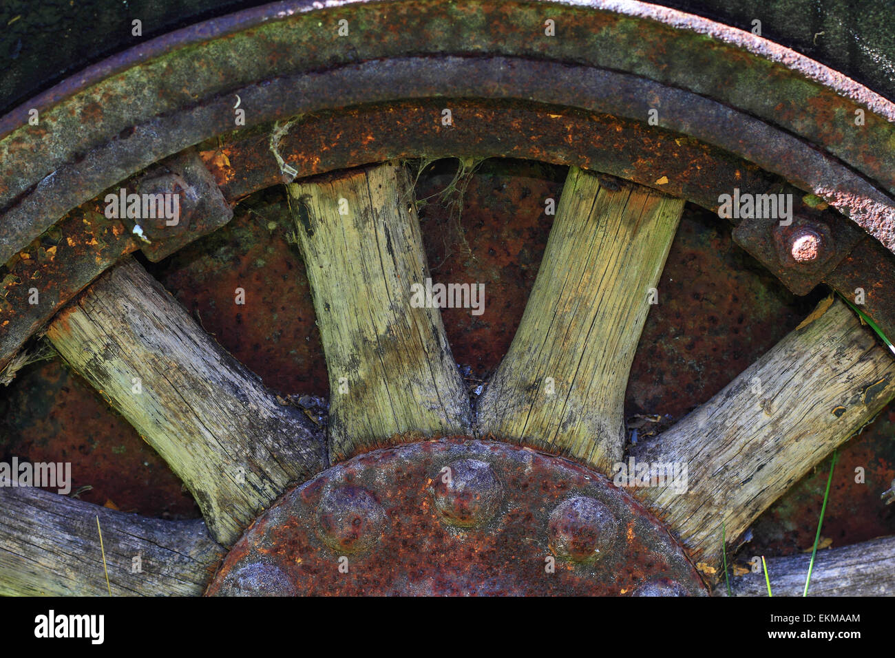 Legno ruota a razze Foto Stock