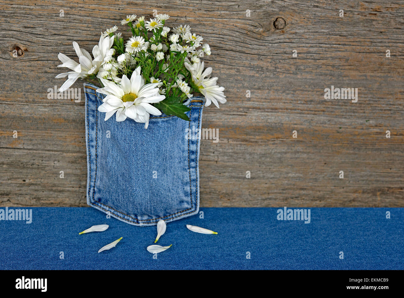 Daisy bouquet in blu jean pocket con legno rustico sfondo. Foto Stock