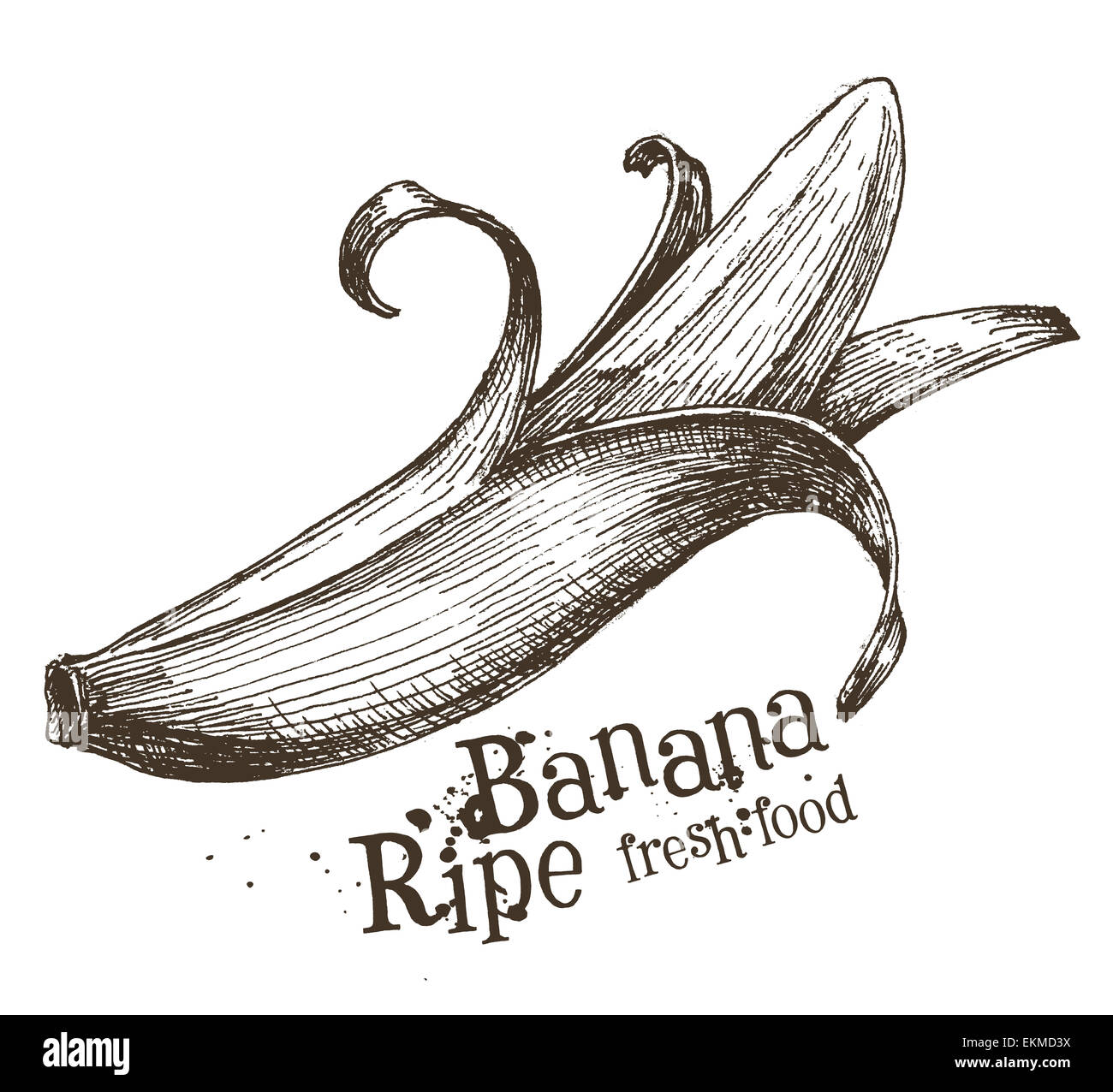 Vettore di banana logo design modello. frutta o icona di cibo. Foto Stock