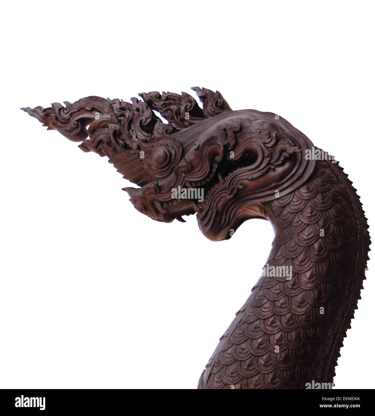 Re di serpente, isolati su sfondo bianco Foto Stock