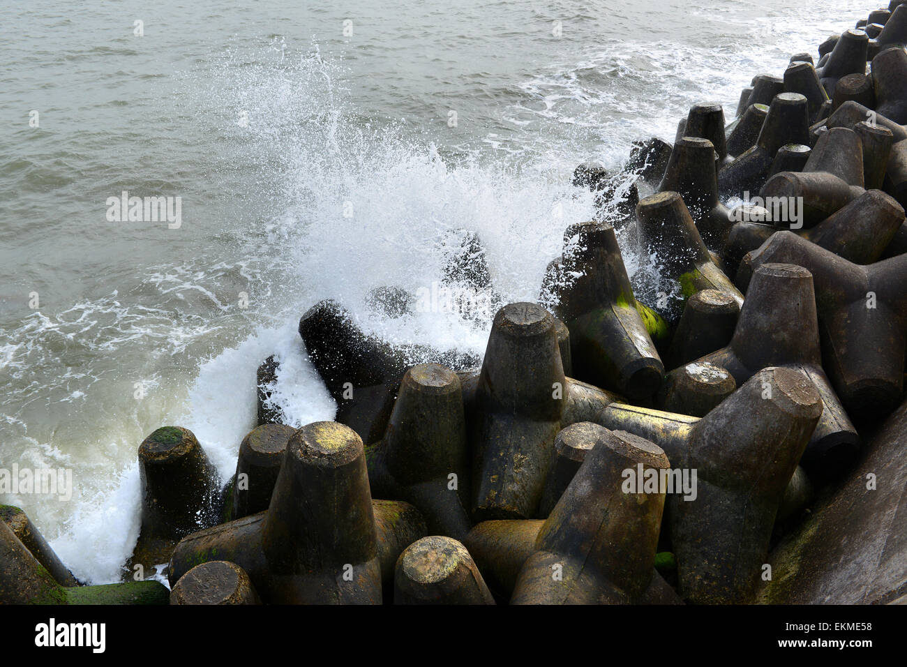 Calcestruzzo tetrapods tetrapod costiere le difese del mare Foto Stock