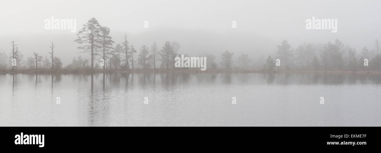 Panorama di Uath Lochans nella nebbia pesante, Scozia Foto Stock