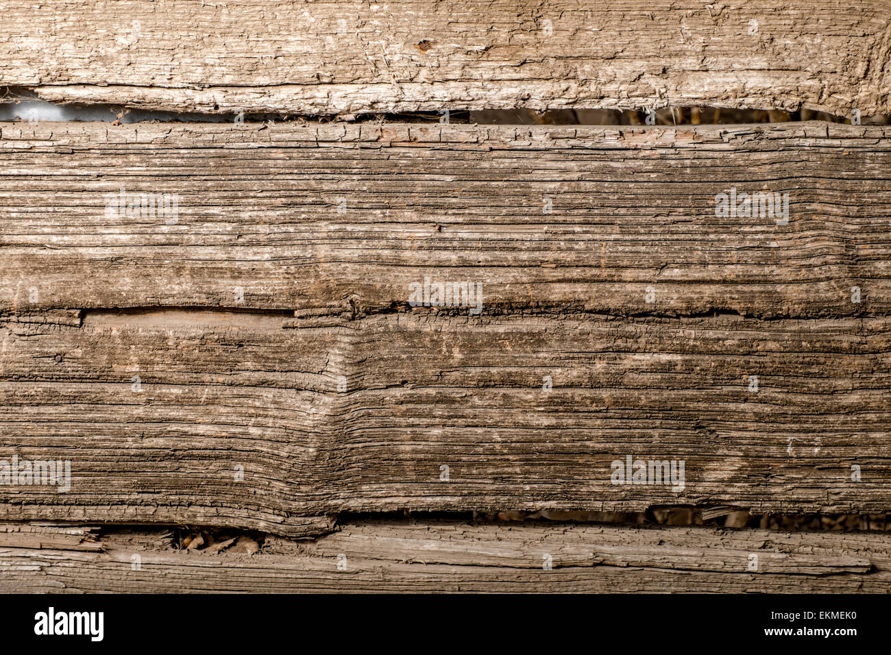 Macro del vecchio tavolato in legno sfondo Foto Stock