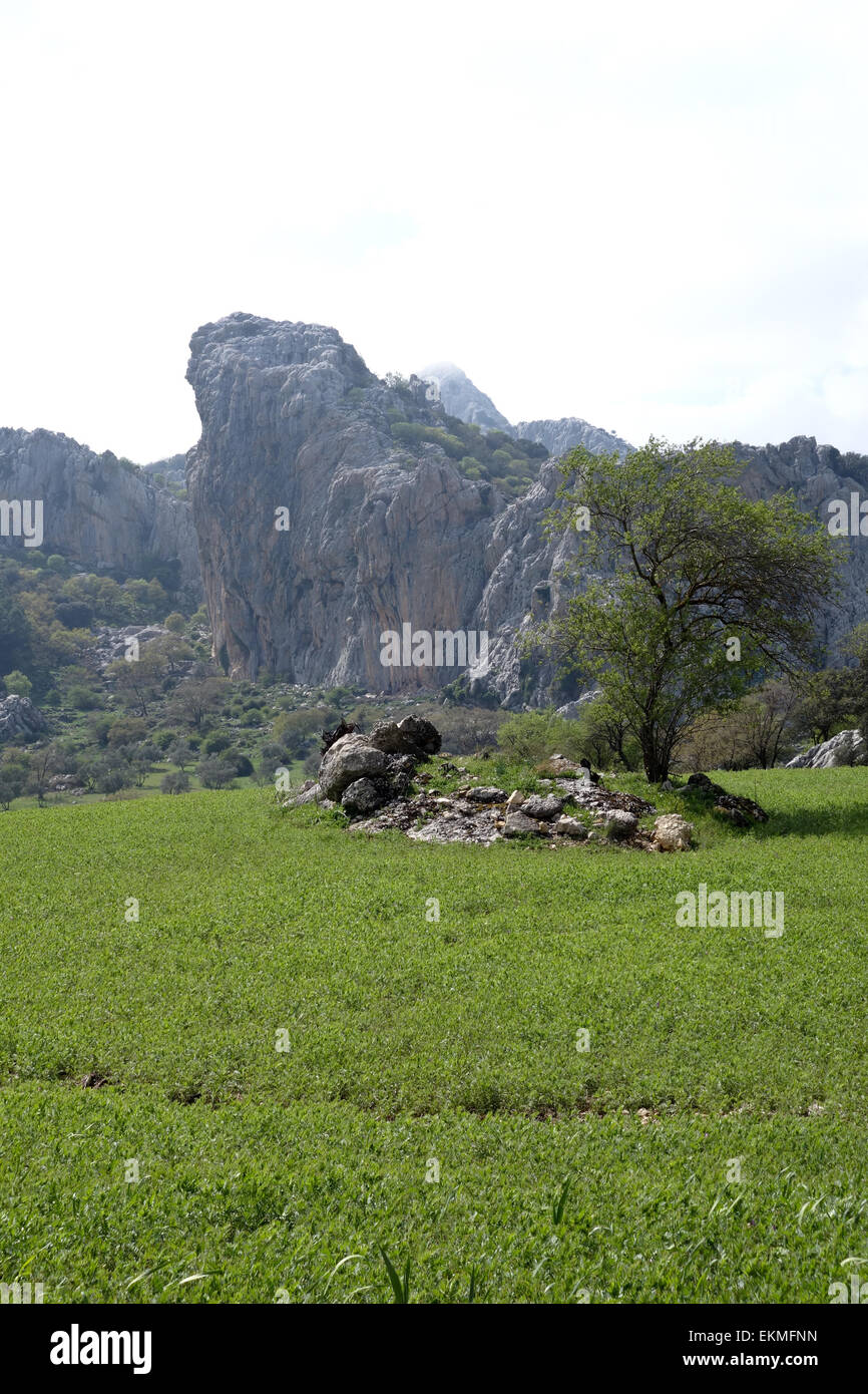 Tajo de madera, paesaggio panoramico, montagne calcaree, Sierra los Camarolos, Andalusia, Spagna meridionale. Foto Stock