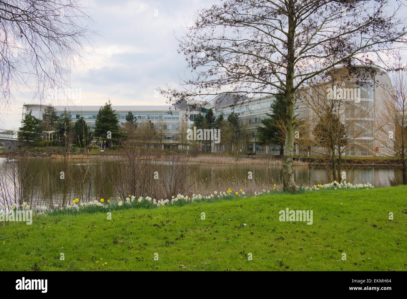 MOD, difesa dell'Agenzia di approvvigionamento edificio, Bristol Abbey Wood, Regno Unito Foto Stock