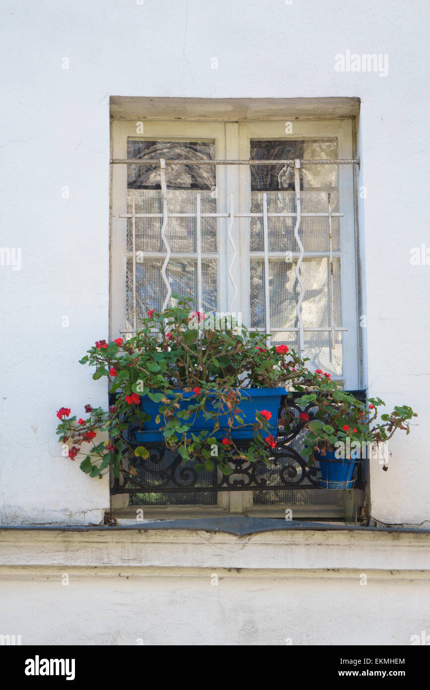 Finestra francese Box Foto Stock
