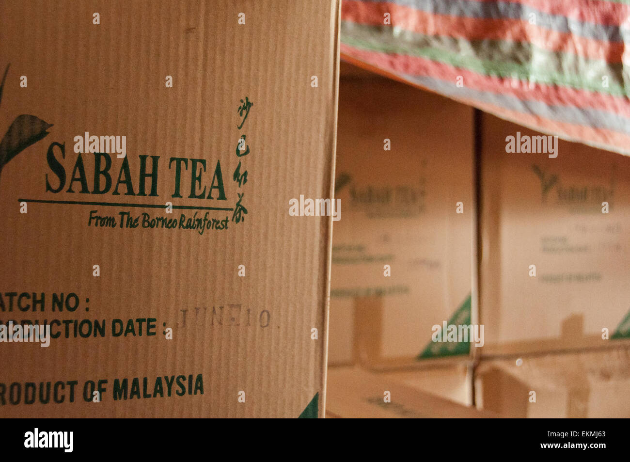 Sabah Tea prodotti pronti per la spedizione, Borneo, Malaysia Foto Stock