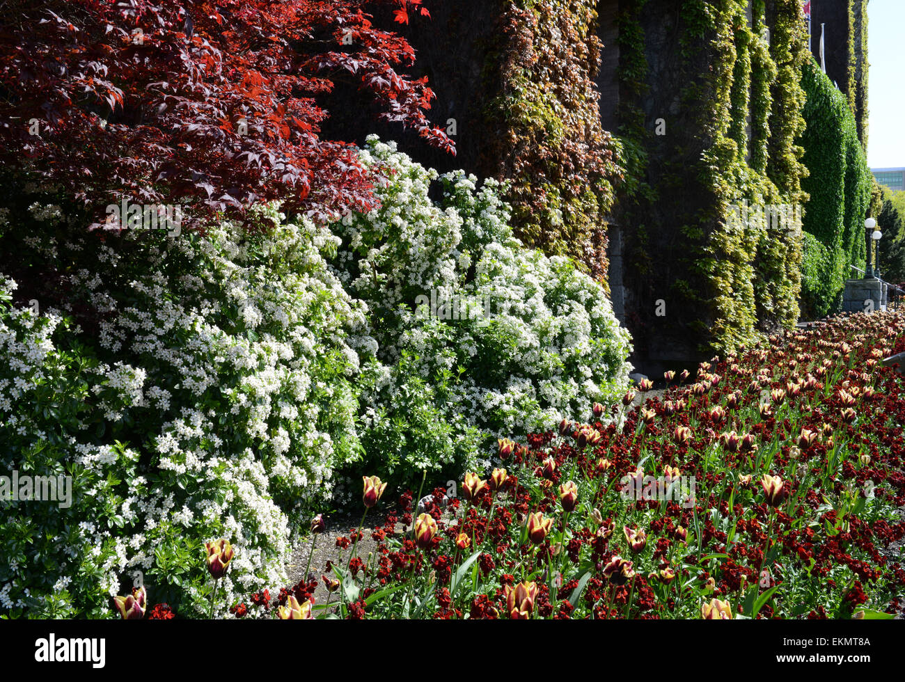 Victoria sull isola di Vancouver i punti di riferimento Foto Stock