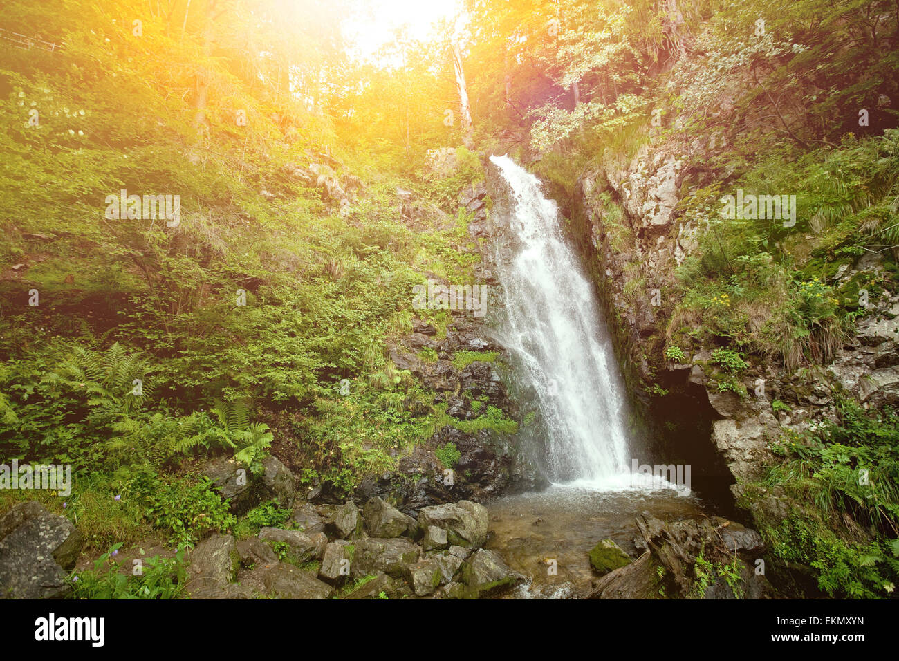 Bella cascata in una foresta con la mattina di sole che splende attraverso. Foto Stock
