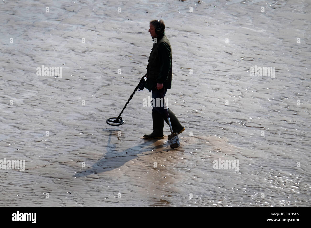 Uomo in silhouette con il rivelatore di metalli sulla spiaggia bagnata con la bassa marea. Foto Stock