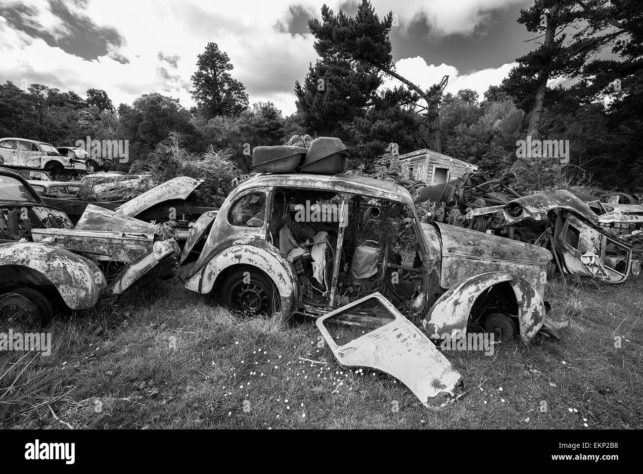 Smash Palace auto rottami cantiere sulla North Island, Nuova Zelanda. Foto Stock