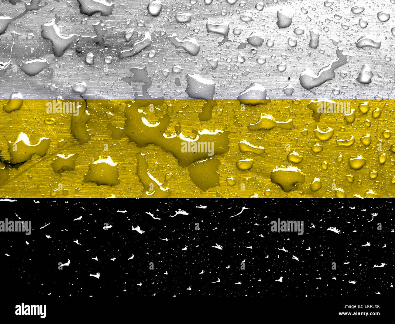 Bandiera di Stato Federale di Novorossiya con gocce di pioggia Foto Stock