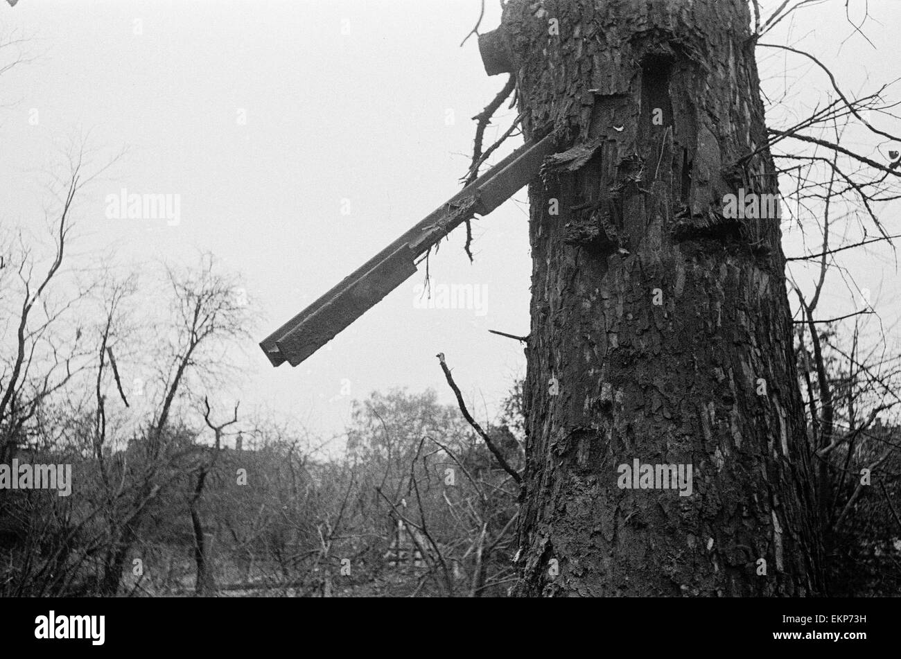 V2 incidente a razzo vicino Palmer's Green Station. Un pezzo di rotaia incorporato in un albero dalla esplosione. Il 7 novembre 1944. Foto Stock