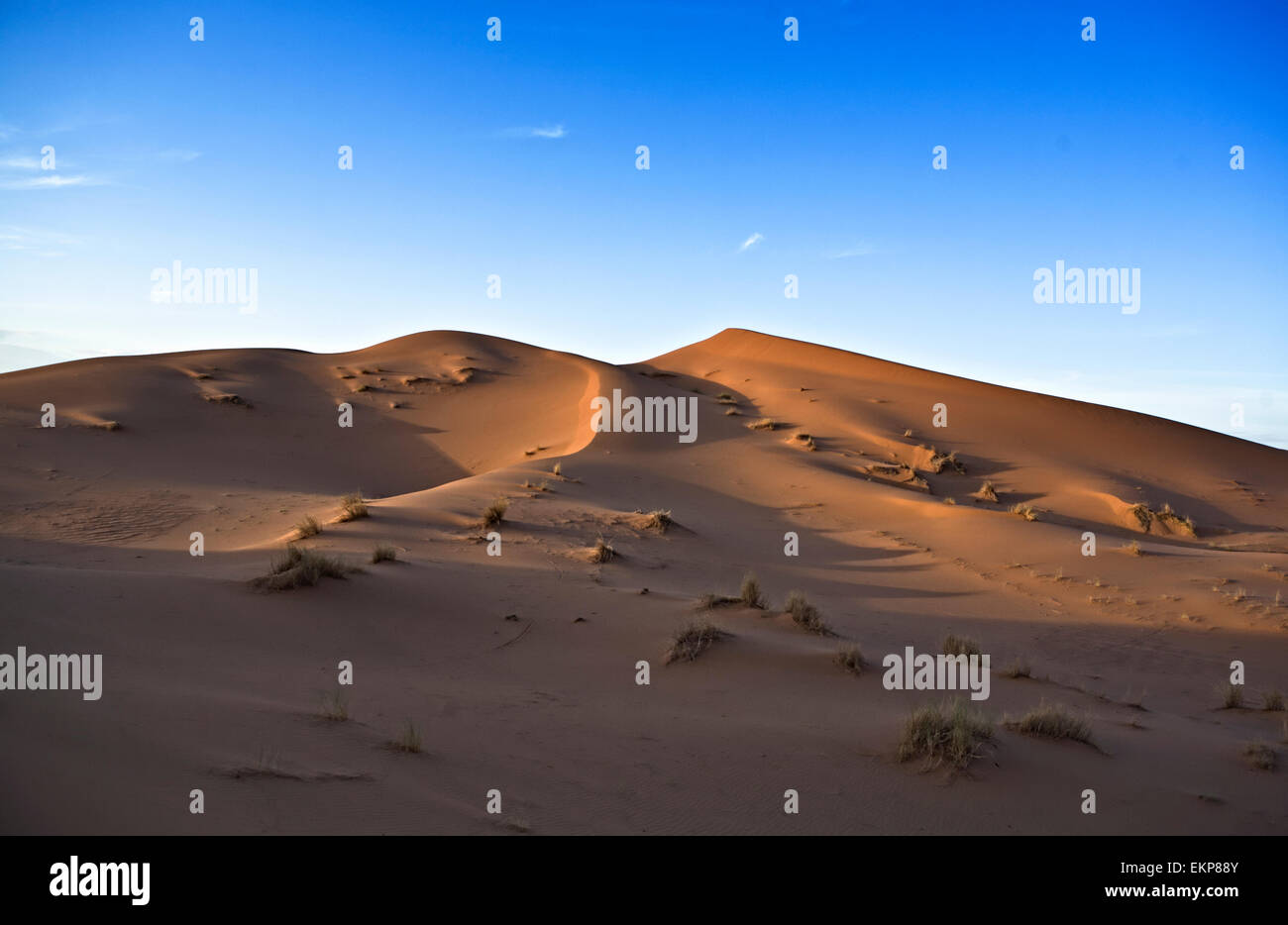 Diversi sand hill a Erg Chebbi nel deserto del Sahara. ers sono grandi dune formate dal vento soffiato sabbia. Marocco Foto Stock