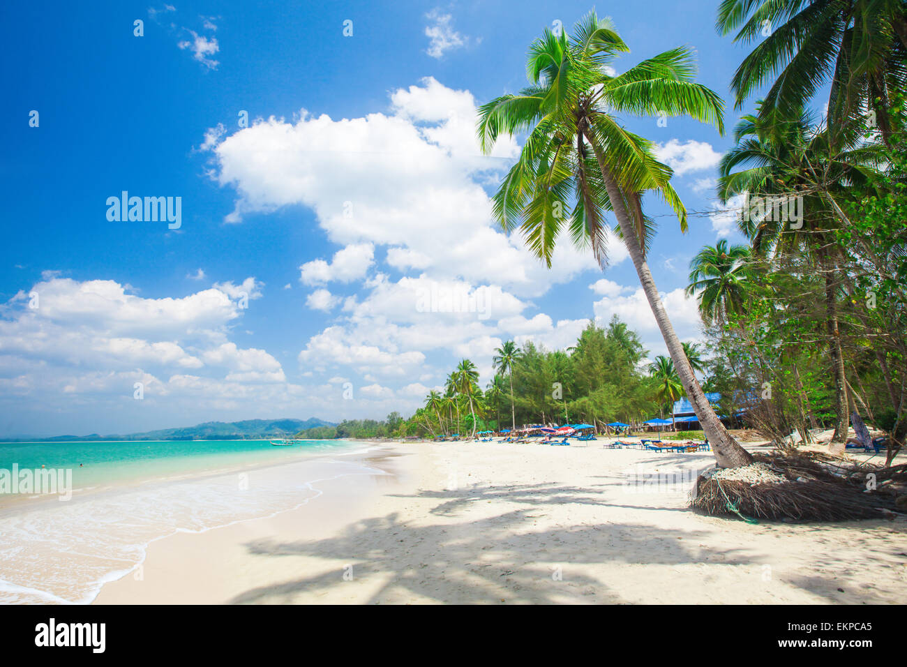 Spiaggia con palme da cocco e mare Foto Stock