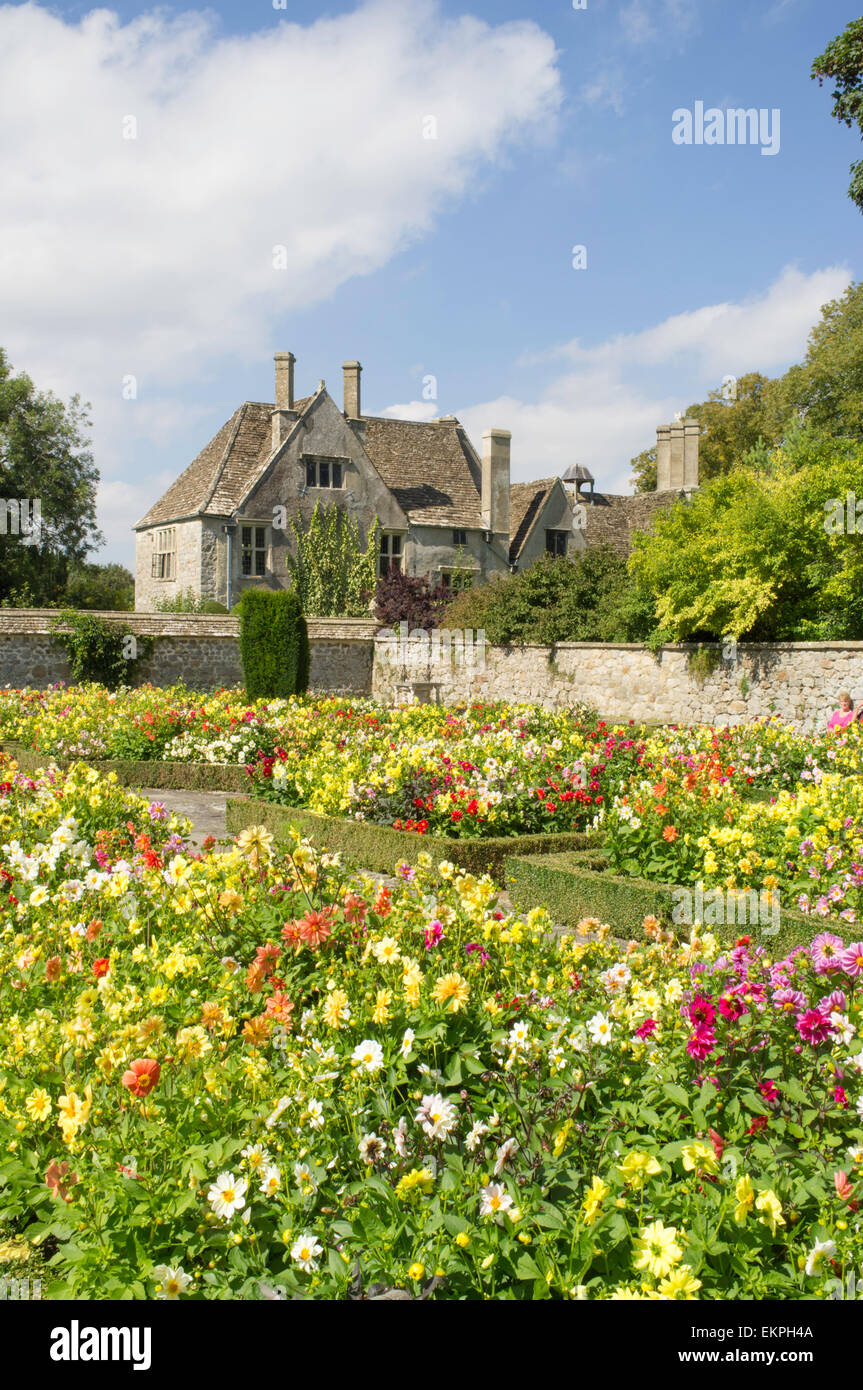 Dalie crescono nel giardino di Avebury Manor & Giardino, Avebury vicino a Marlborough, Wiltshire, Inghilterra, Regno Unito Foto Stock